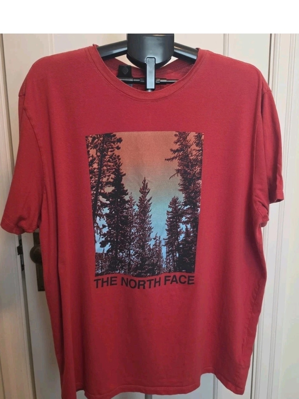 The North Face Men's Rust Red Short Sleeve Graphic Tee